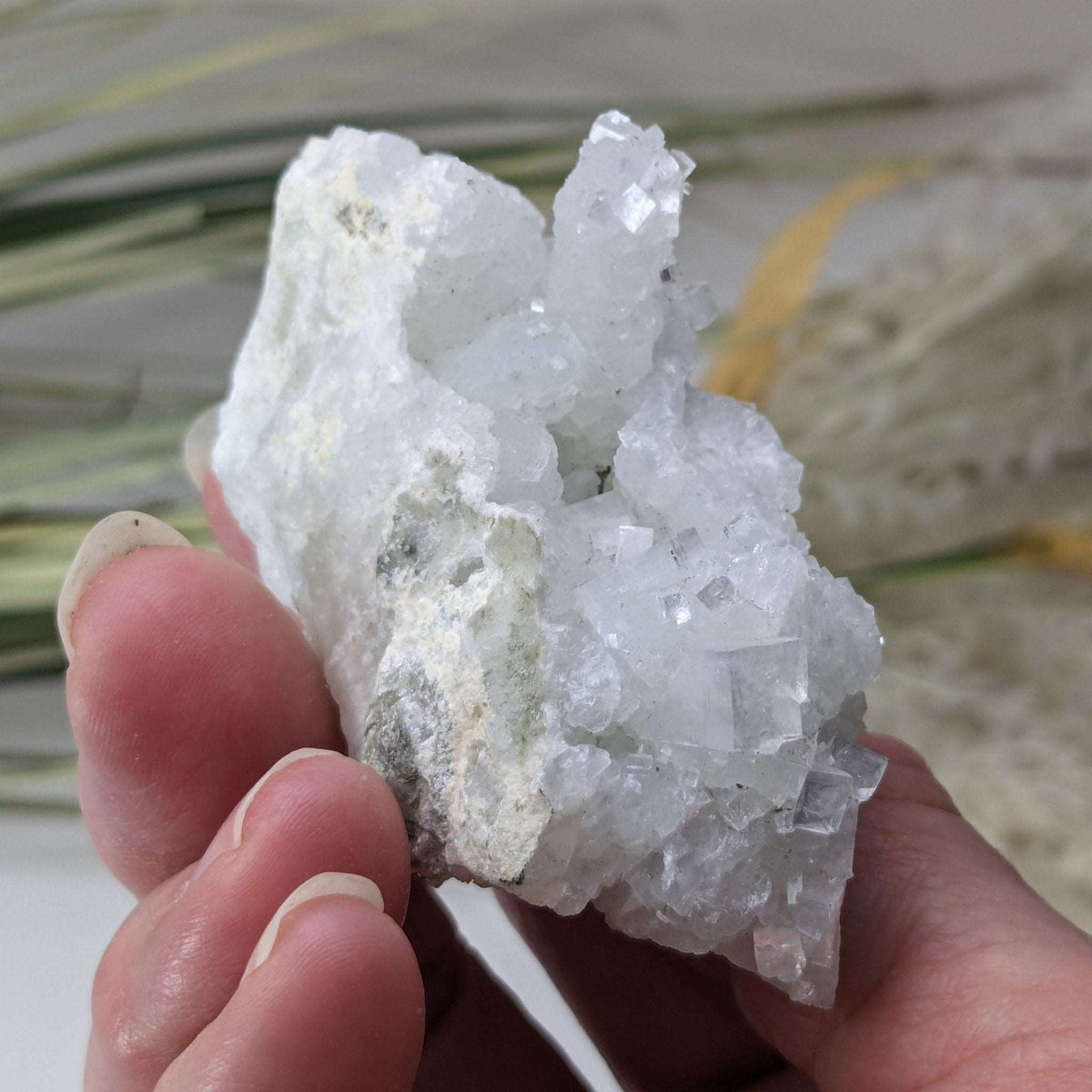  Apophyllite and Prehnite Cluster Crystal | 104 grams | Mumbai, India SO24 8