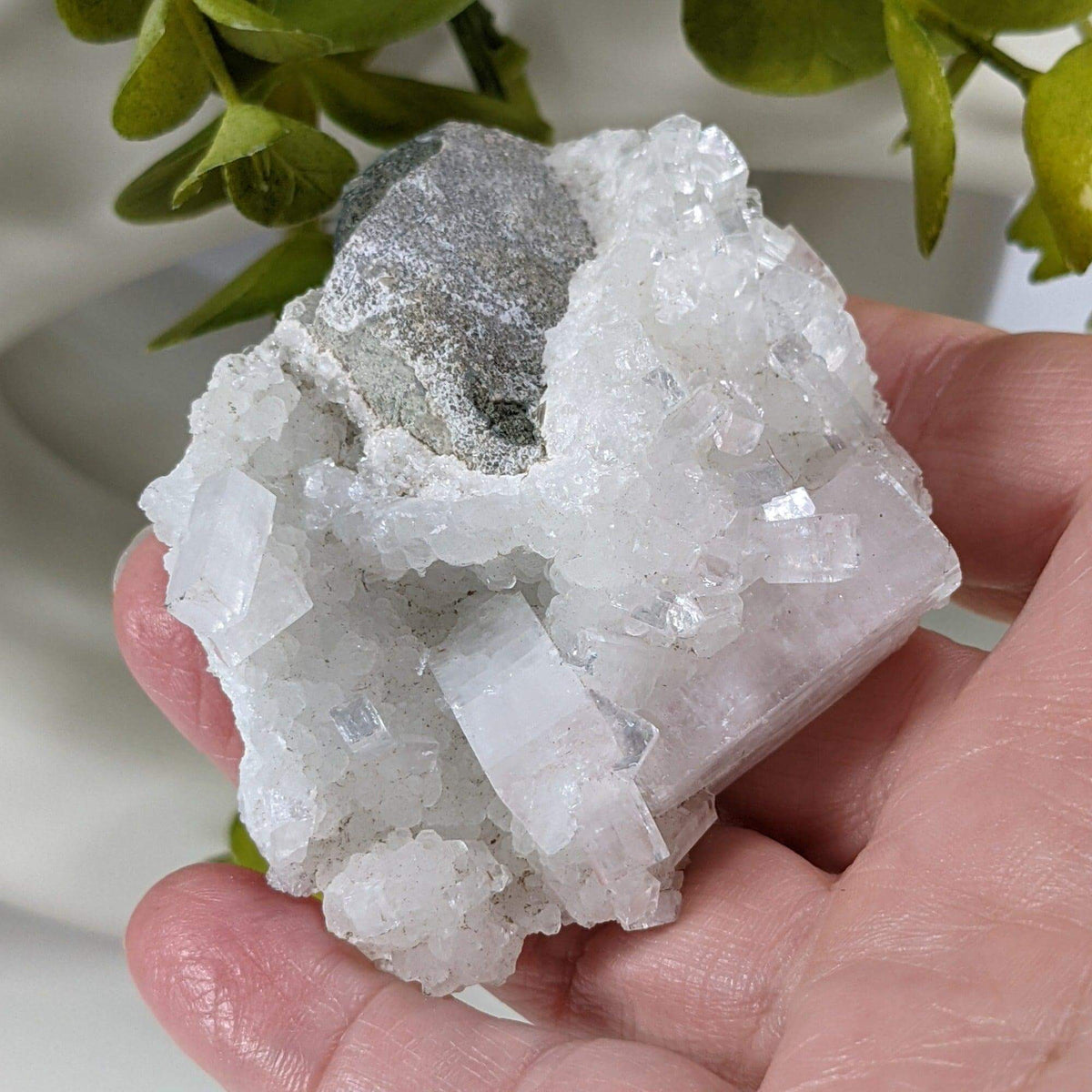  Apophyllite and Prehnite Crystal Cluster | 104 grams | Mumbai, India | SO24 