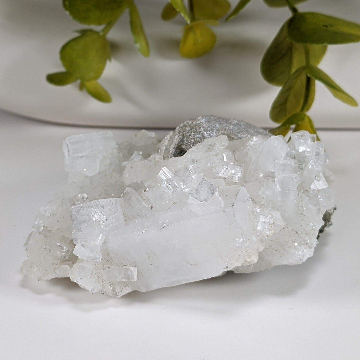  Apophyllite and Prehnite Crystal Cluster | 104 grams | Mumbai, India | SO24 2