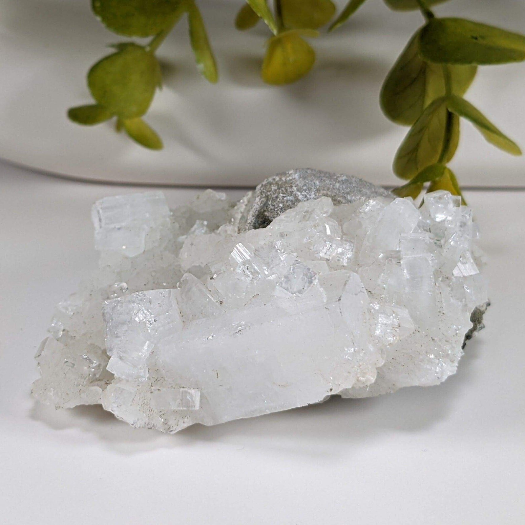  Apophyllite and Prehnite Crystal Cluster | 104 grams | Mumbai, India | SO24 2