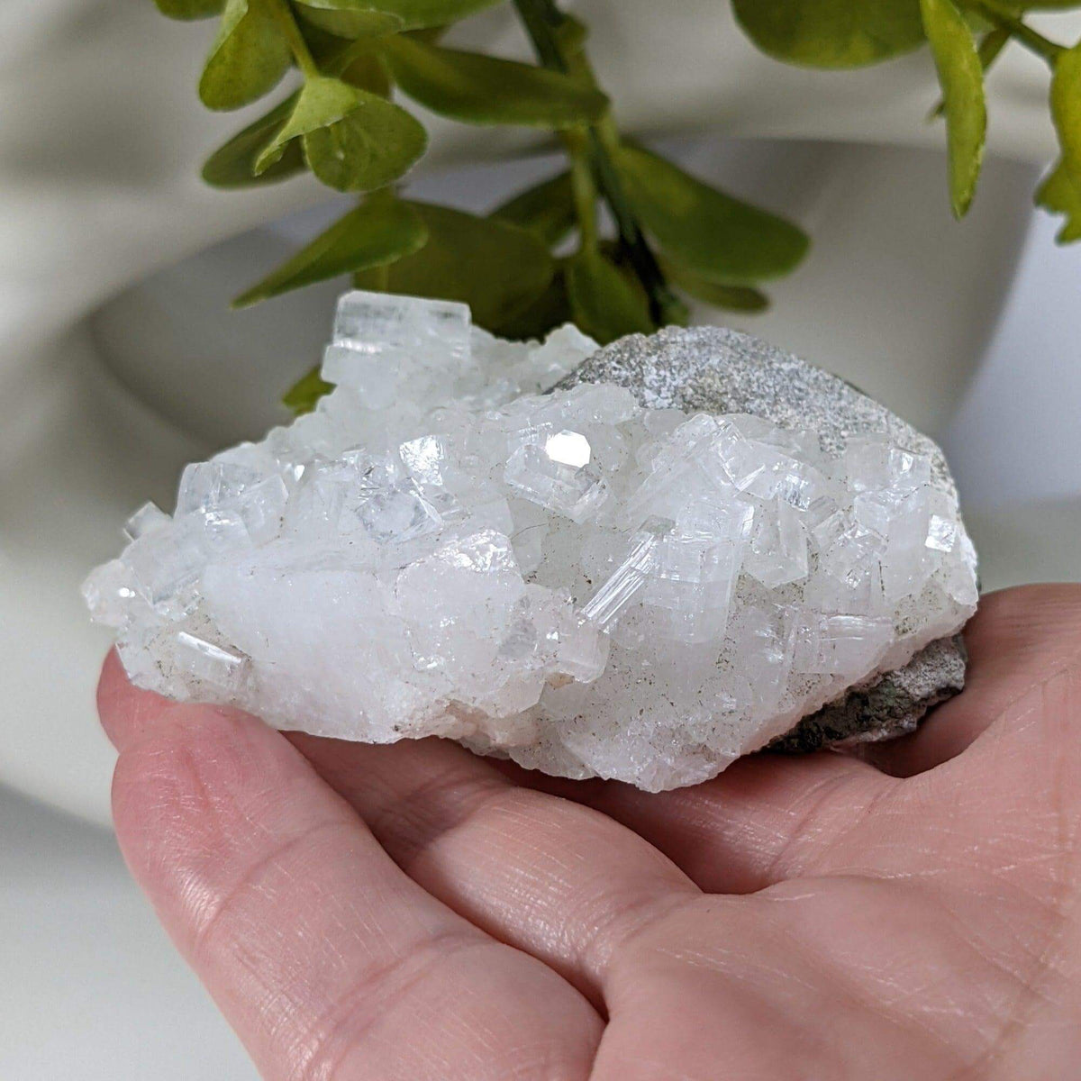  Apophyllite and Prehnite Crystal Cluster | 104 grams | Mumbai, India | SO24 4