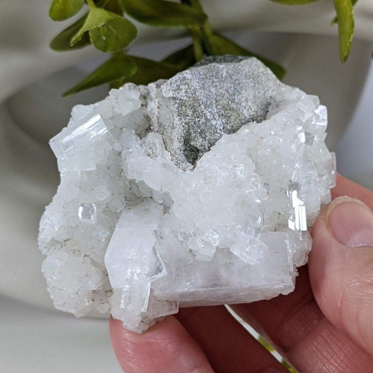  Apophyllite and Prehnite Crystal Cluster | 104 grams | Mumbai, India | SO24 6