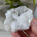 Apophyllite and Prehnite Crystal Cluster | 104 grams | Mumbai, India | SO24 6