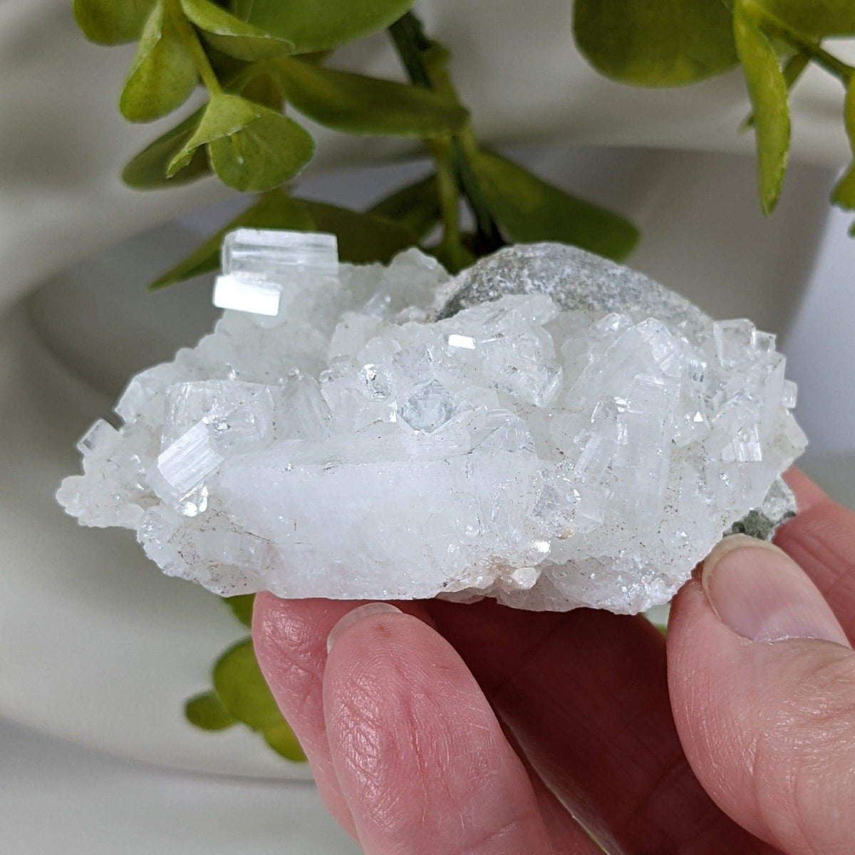  Apophyllite and Prehnite Crystal Cluster | 104 grams | Mumbai, India | SO24 8
