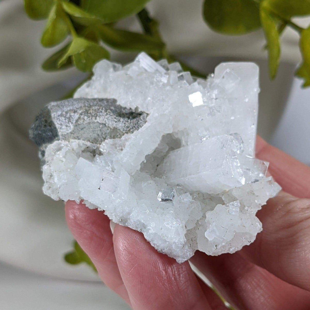  Apophyllite and Prehnite Crystal Cluster | 104 grams | Mumbai, India | SO24 9