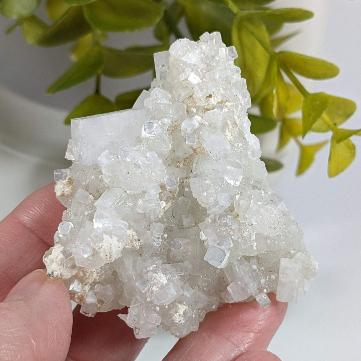  Apophyllite and Prehnite Crystal Cluster | 85 grams | Mumbai, India 