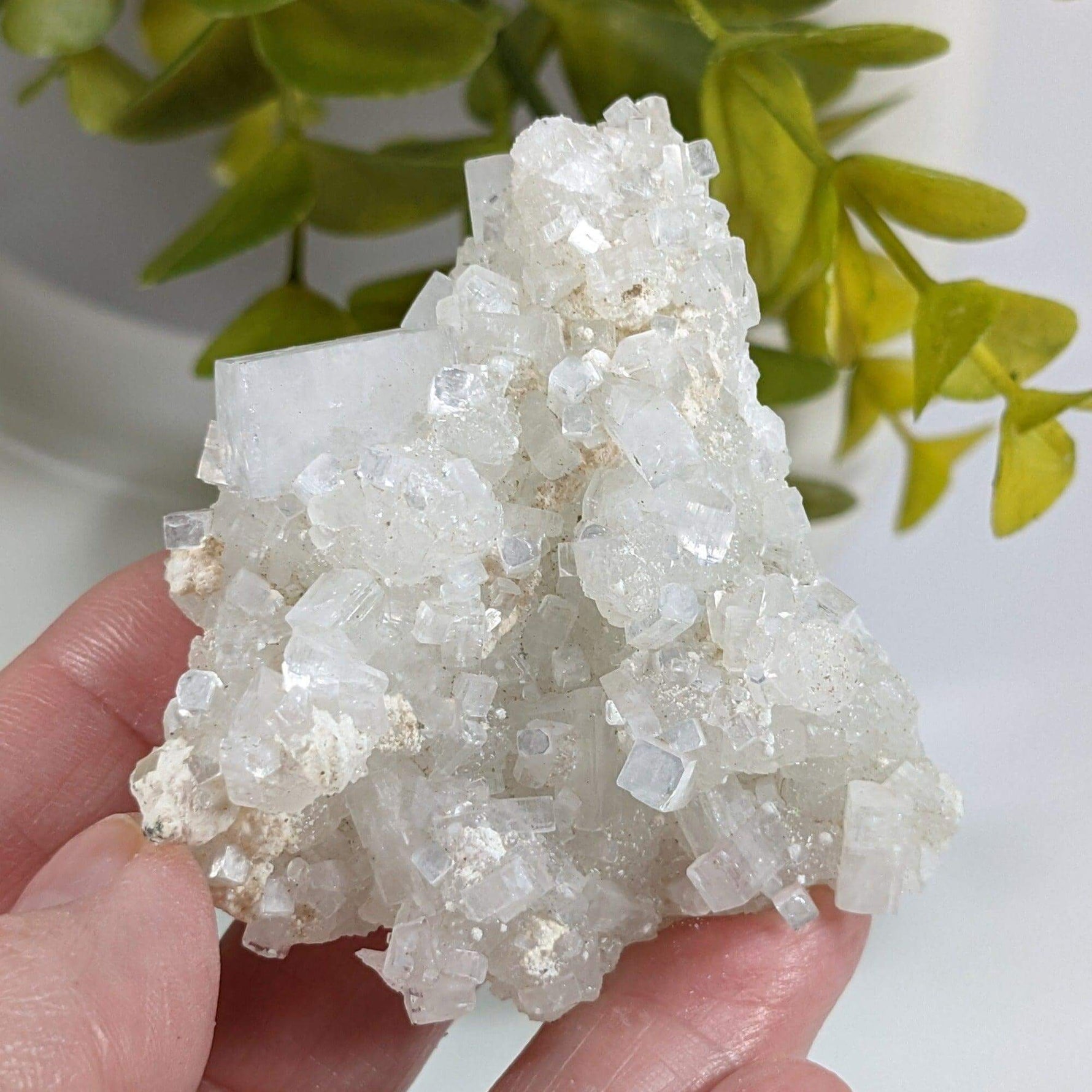  Apophyllite and Prehnite Crystal Cluster | 85 grams | Mumbai, India 