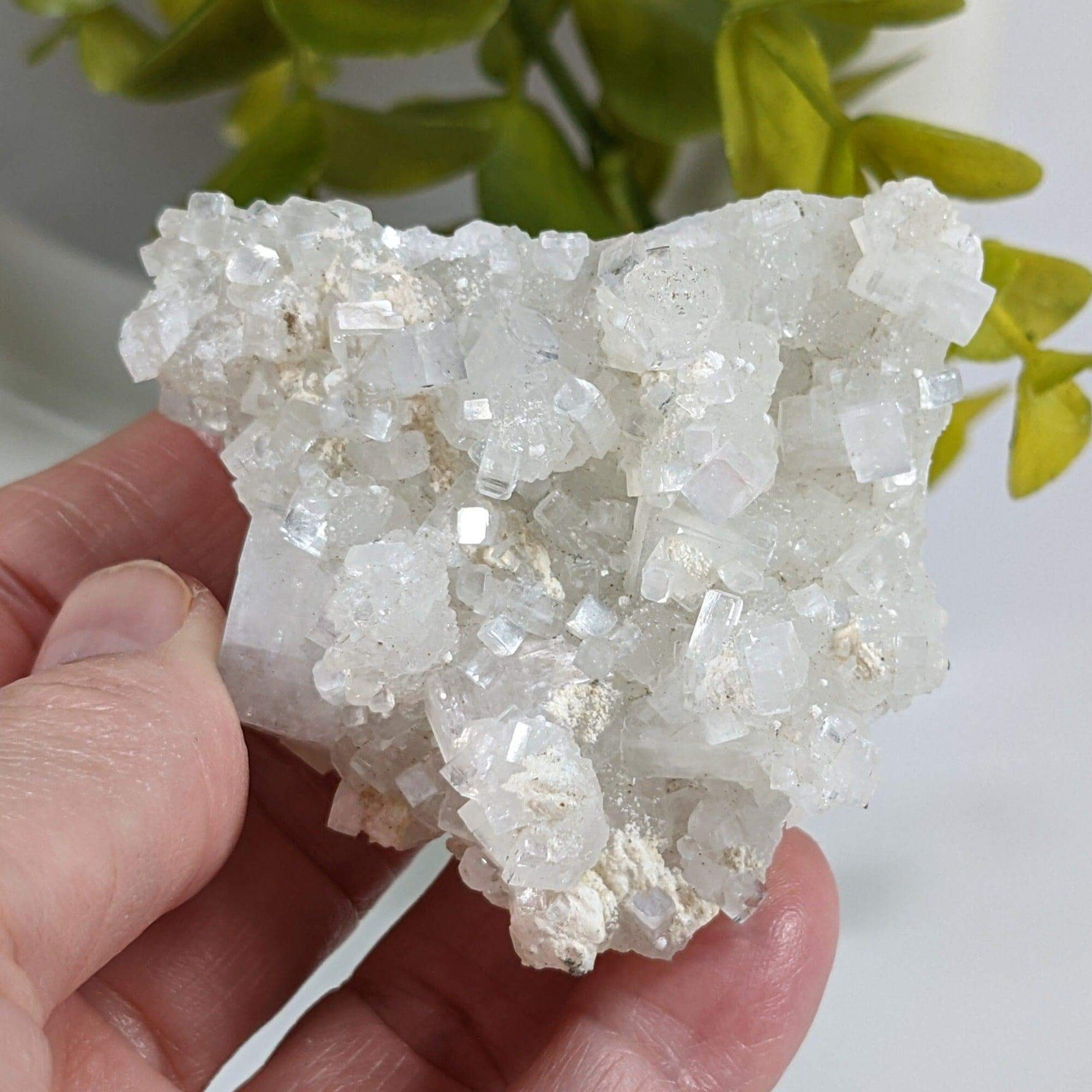 Apophyllite and Prehnite Crystal Cluster | 85 grams | Mumbai, India 2
