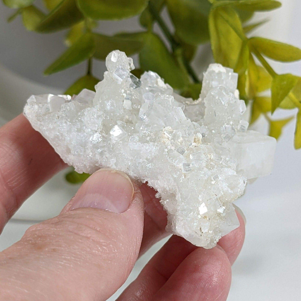  Apophyllite and Prehnite Crystal Cluster | 85 grams | Mumbai, India 4