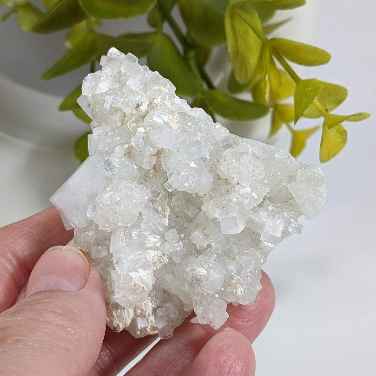  Apophyllite and Prehnite Crystal Cluster | 85 grams | Mumbai, India 6