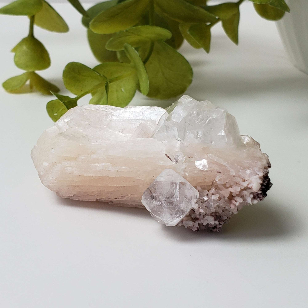  Apophyllite on Stilbite Crystal | 42.4 grams | Jalgaon, India | SO24 2