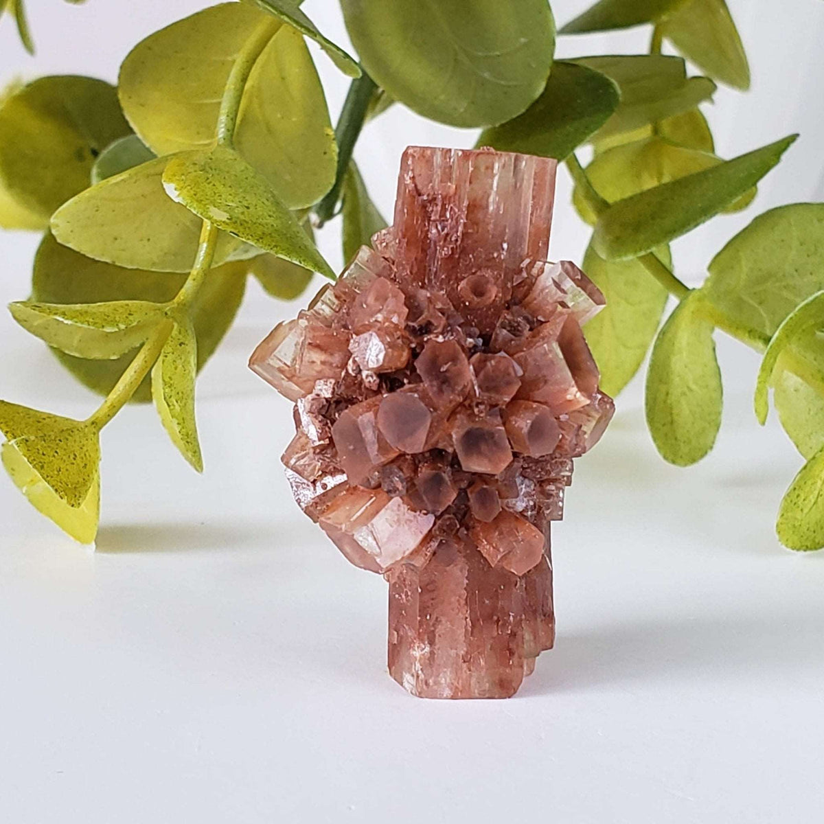  Aragonite Star Cluster | Amazing Terminations | 15.1 grams | Sefrou Ata, Morocco | SO24 