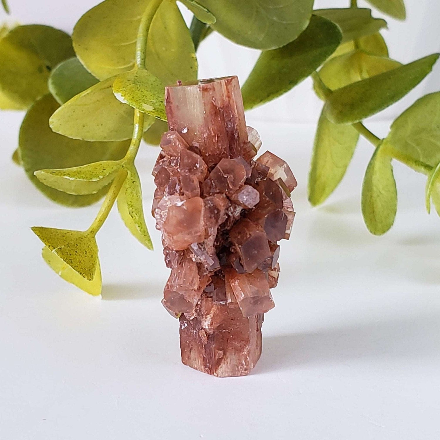  Aragonite Star Cluster | Amazing Terminations | 15.1 grams | Sefrou Ata, Morocco | SO24 1