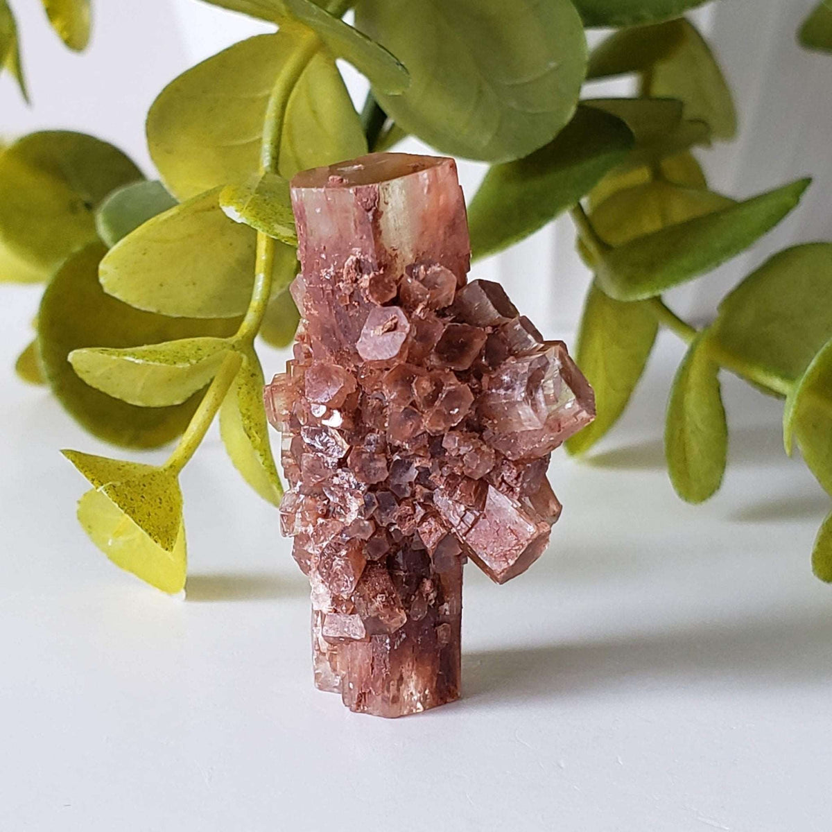  Aragonite Star Cluster | Amazing Terminations | 15.1 grams | Sefrou Ata, Morocco | SO24 3