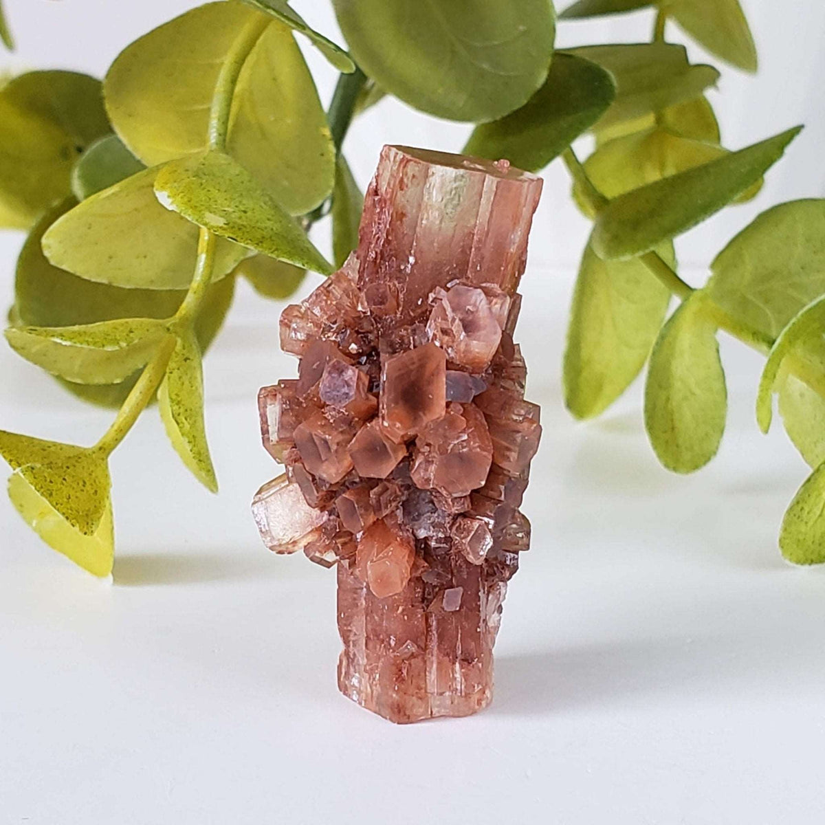  Aragonite Star Cluster | Amazing Terminations | 15.1 grams | Sefrou Ata, Morocco | SO24 4