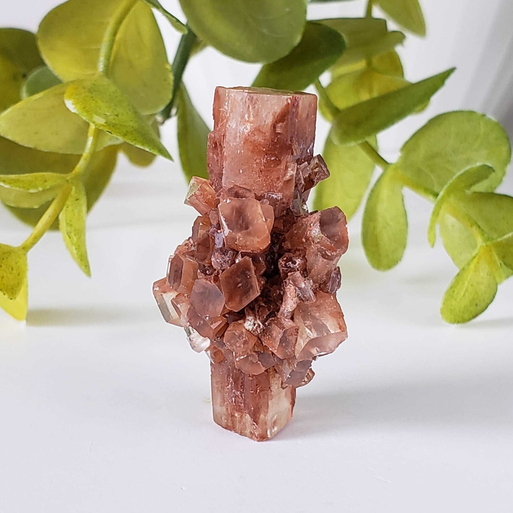  Aragonite Star Cluster | Amazing Terminations | 15.1 grams | Sefrou Ata, Morocco | SO24 5