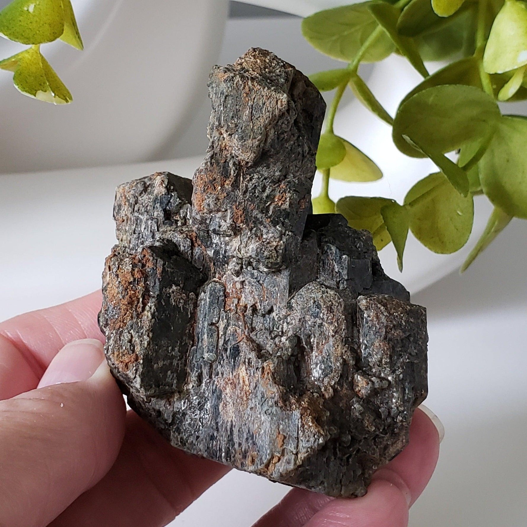  Augite Crystals Cluster | 196 grams | Lake Clear, Ontario, Canada | SO24 