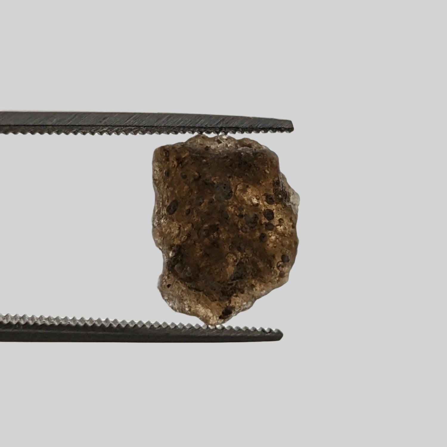  Authentic Darwin Glass Tektite | 0.5 Grams | Darwinite Impactite | Tasmania | SO24 1