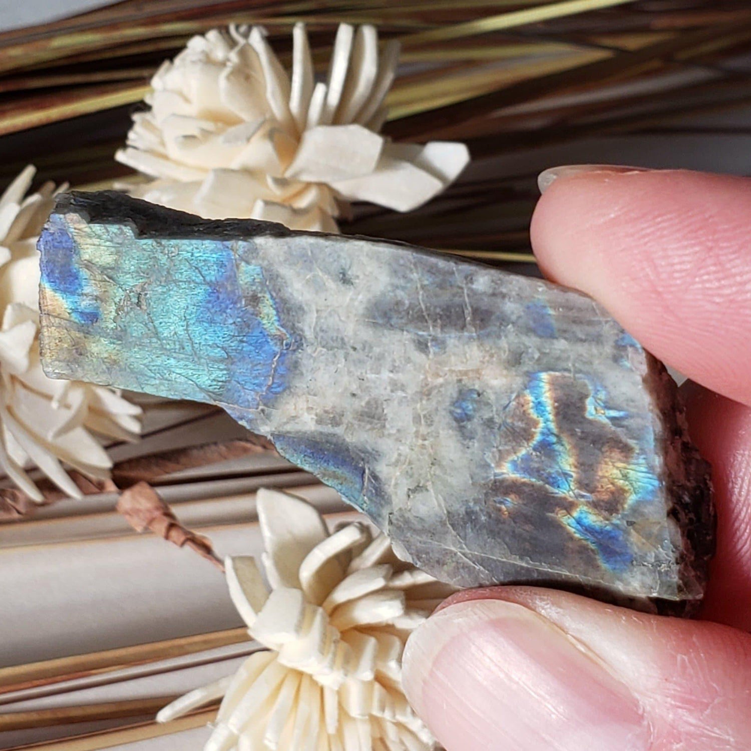  Authentic Labradorite Natural Rainbow Unpolished Stone Slice Mineral 12.6 Gr, Labrador Canada | SO24 1