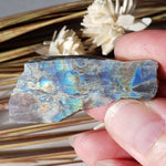  Authentic Labradorite Natural Rainbow Unpolished Stone Slice Mineral 12.6 Gr, Labrador Canada | SO24 