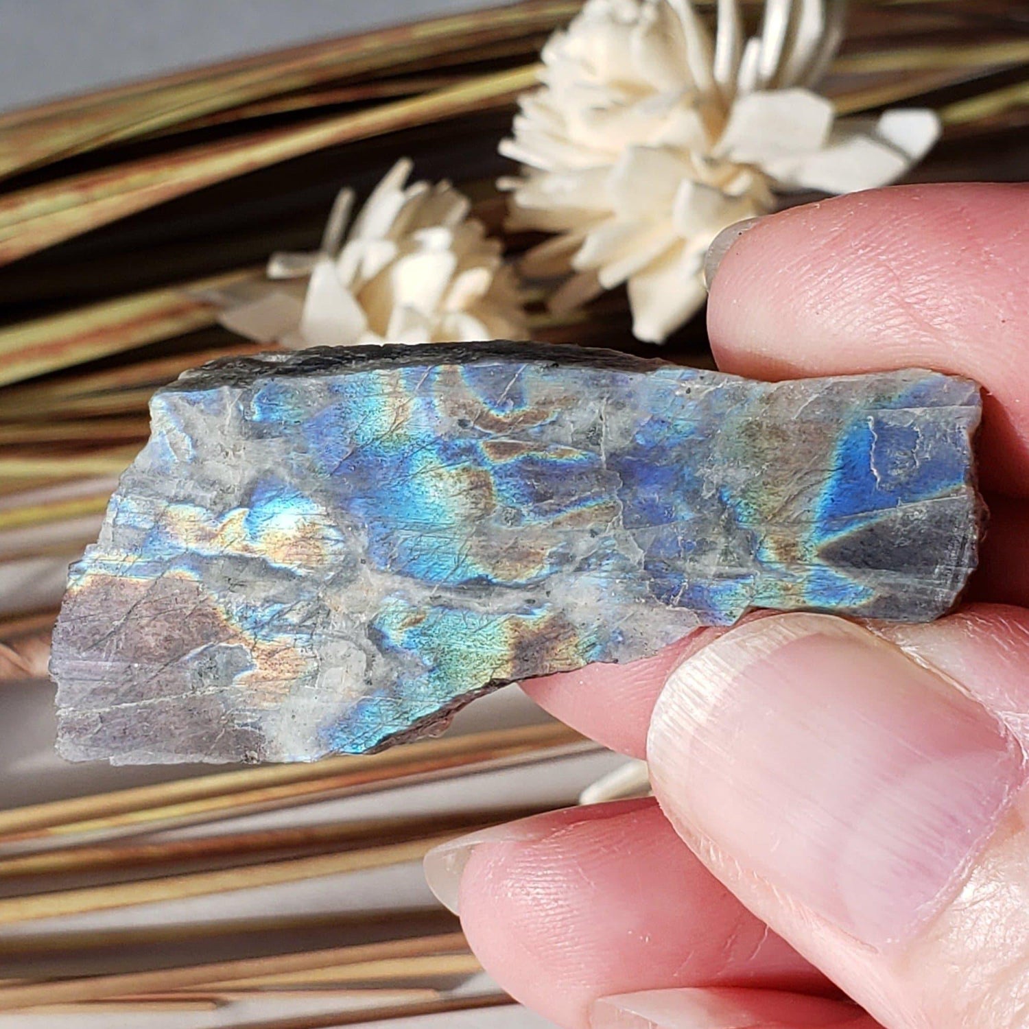  Authentic Labradorite Natural Rainbow Unpolished Stone Slice Mineral 12.6 Gr, Labrador Canada | SO24 