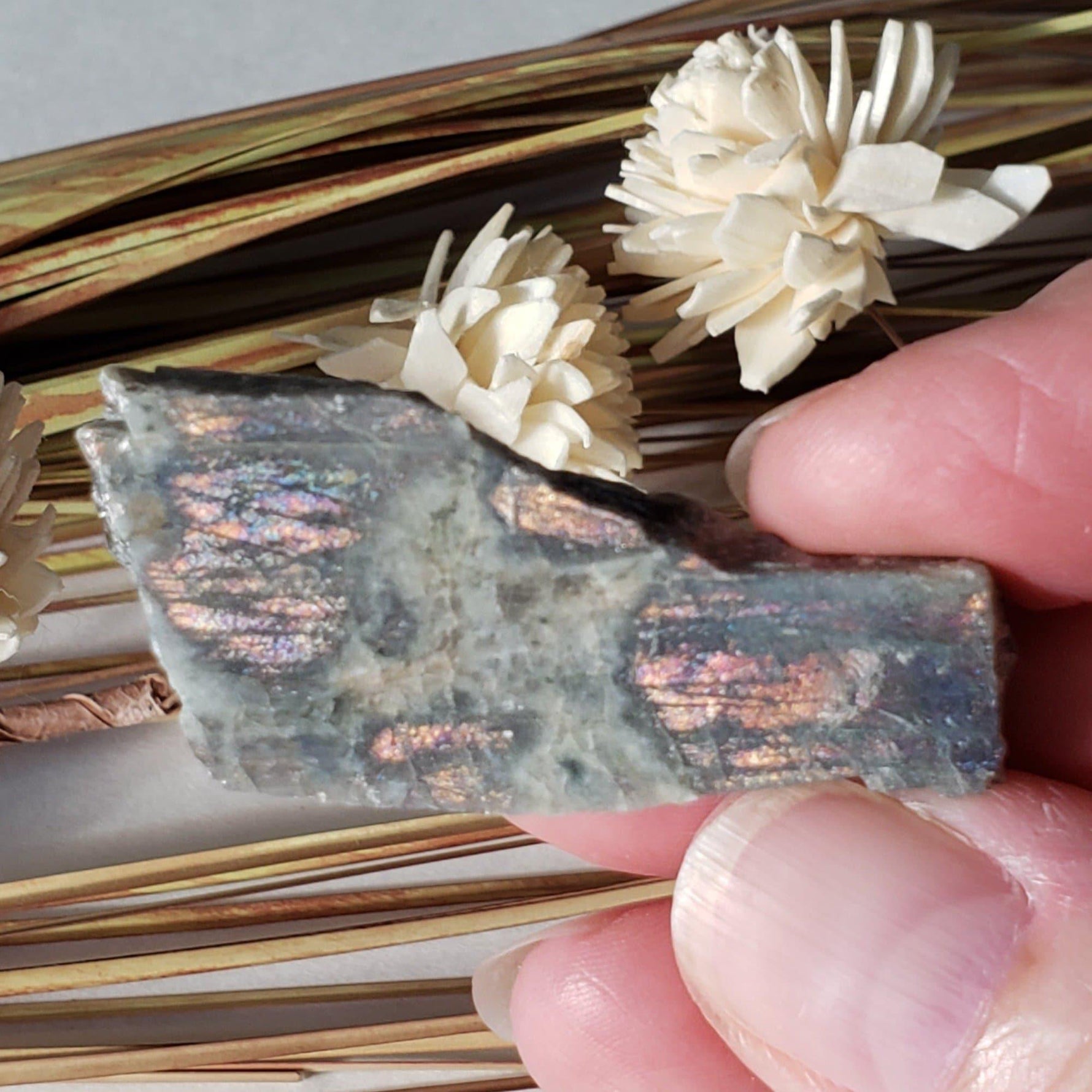  Authentic Labradorite Natural Rainbow Unpolished Stone Slice Mineral 12.6 Gr, Labrador Canada | SO24 3