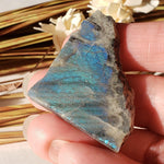  Authentic Labradorite Natural Rainbow Unpolished Stone Slice Mineral 17.5 Gr, Labrador Canada | SO24 3