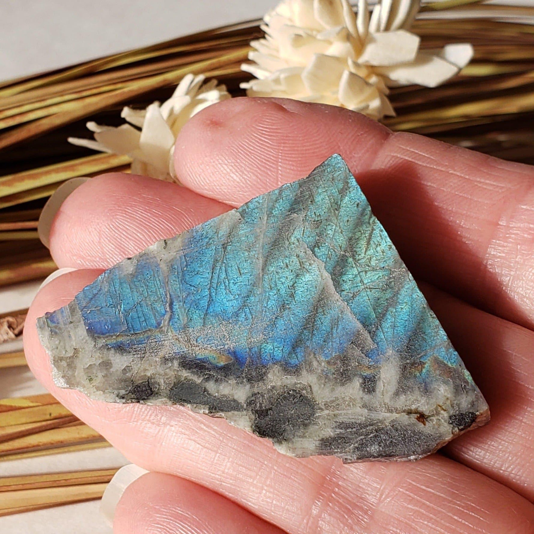  Authentic Labradorite Natural Rainbow Unpolished Stone Slice Mineral 17.5 Gr, Labrador Canada | SO24 1