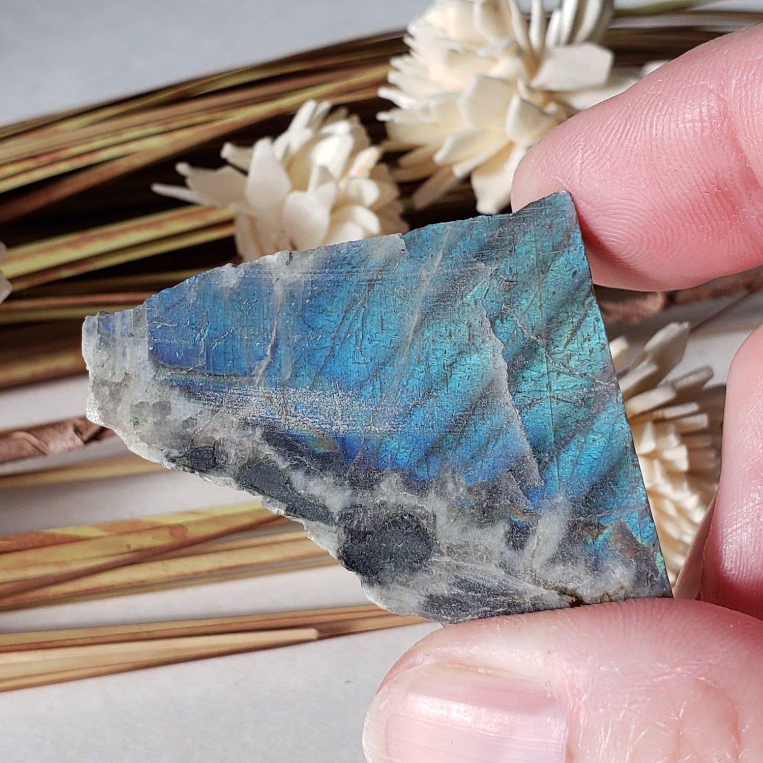  Authentic Labradorite Natural Rainbow Unpolished Stone Slice Mineral 17.5 Gr, Labrador Canada | SO24 