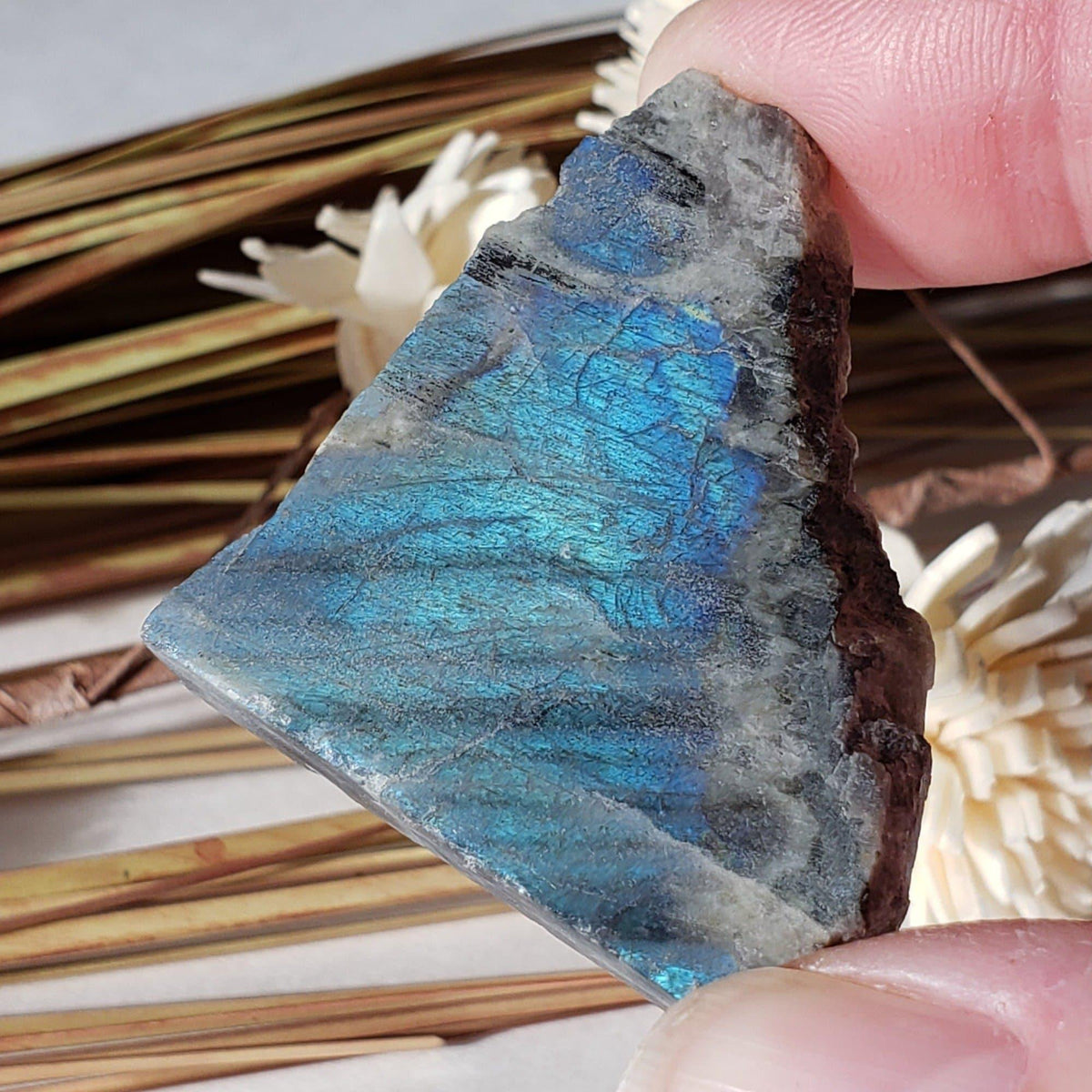  Authentic Labradorite Natural Rainbow Unpolished Stone Slice Mineral 17.5 Gr, Labrador Canada | SO24 4
