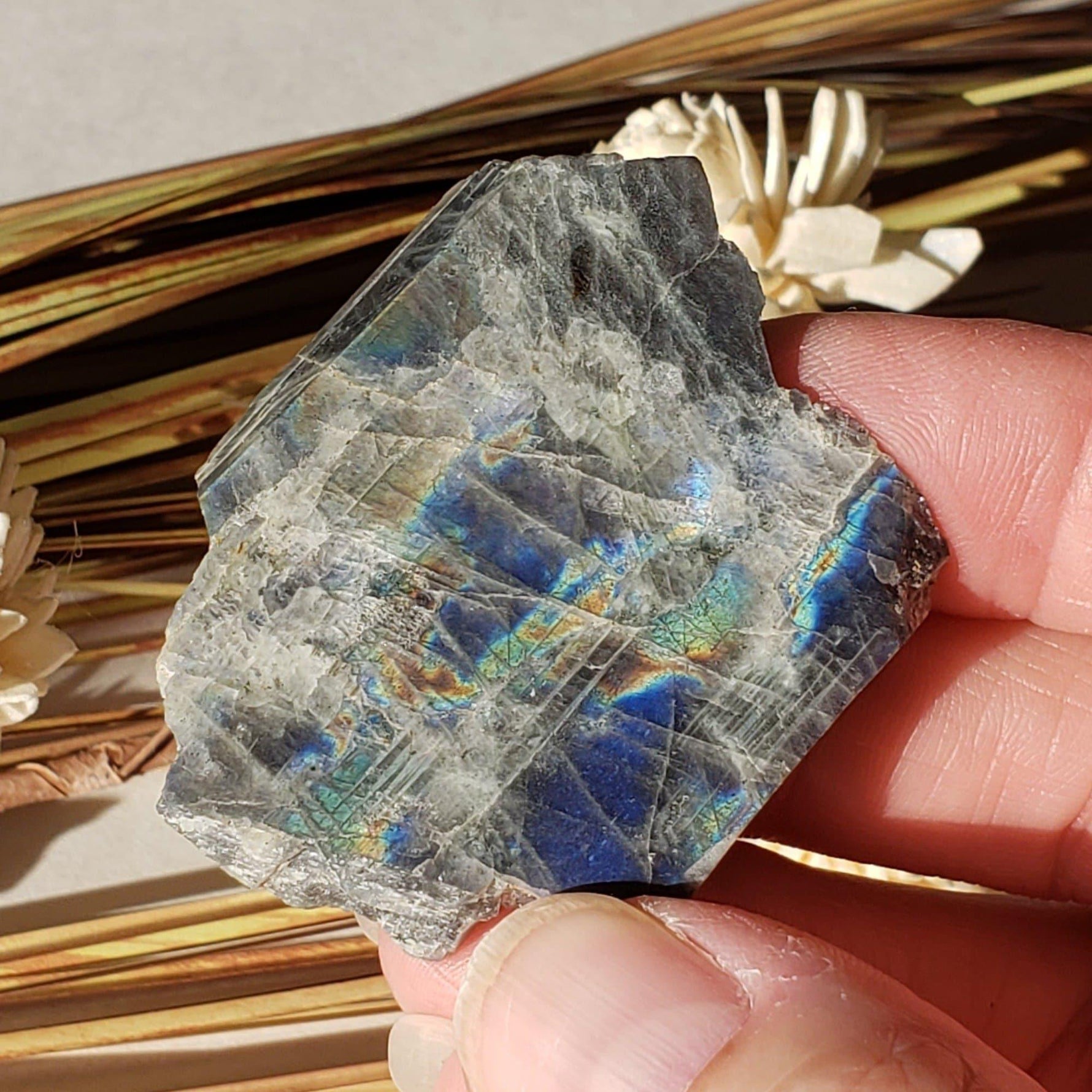  Authentic Labradorite Natural Rainbow Unpolished Stone Slice Mineral 31 Gr, Labrador Canada | SO24 2