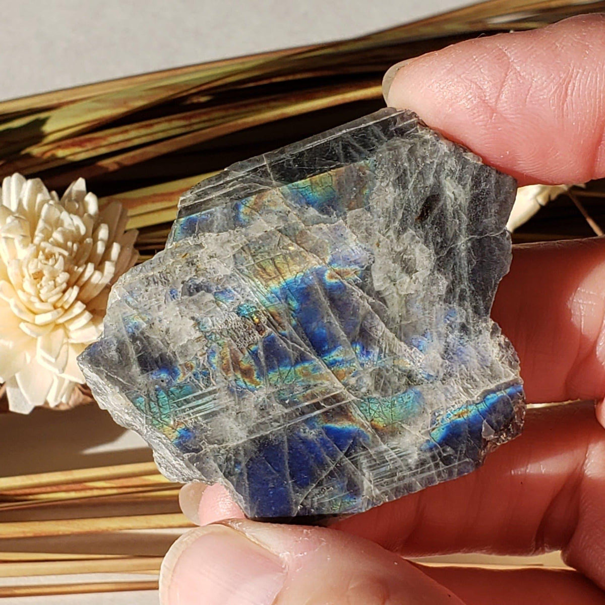  Authentic Labradorite Natural Rainbow Unpolished Stone Slice Mineral 31 Gr, Labrador Canada | SO24 4
