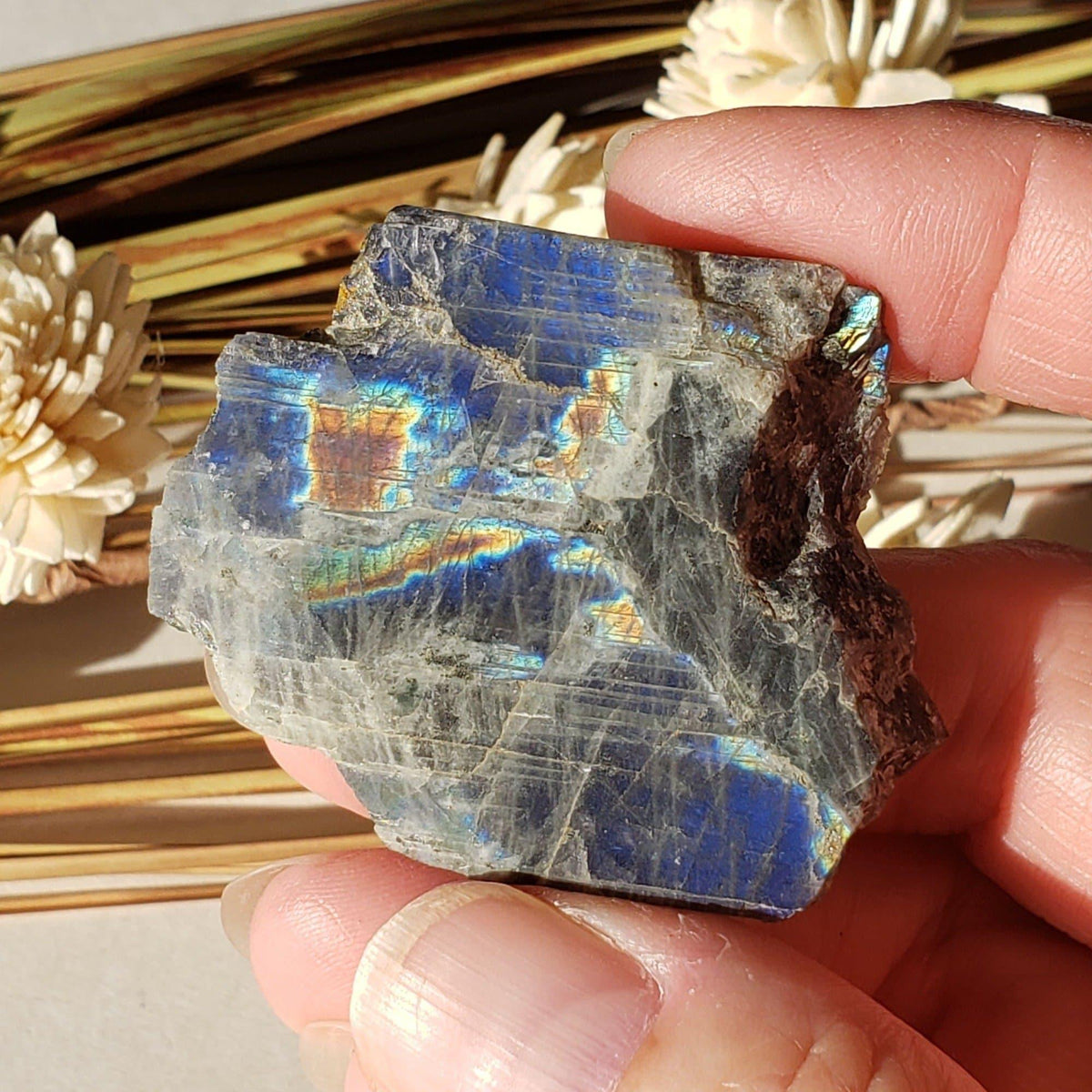  Authentic Labradorite Natural Rainbow Unpolished Stone Slice Mineral 31 Gr, Labrador Canada | SO24 