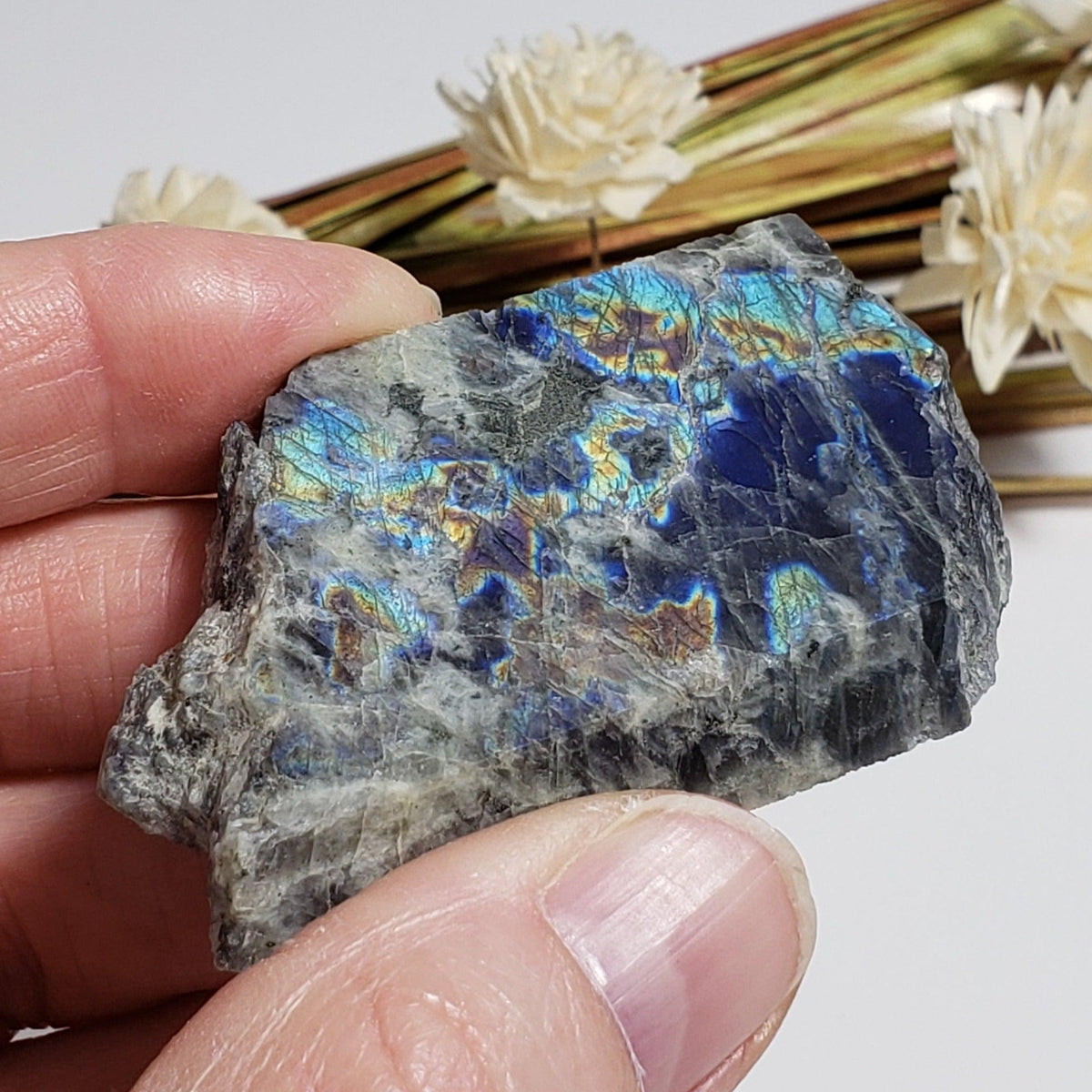  Authentic Labradorite Natural Rainbow Unpolished Stone Slice Mineral 45.6 Gr, Labrador Canada | SO24 