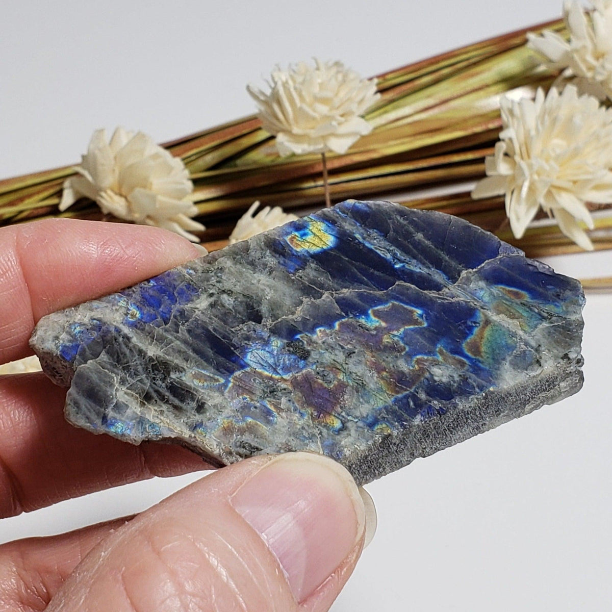  Authentic Labradorite Natural Rainbow Unpolished Stone Slice Mineral 45.6 Gr, Labrador Canada | SO24 1