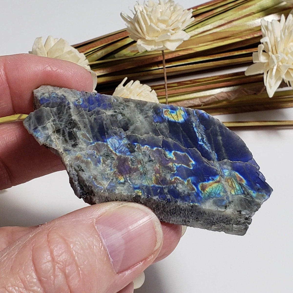  Authentic Labradorite Natural Rainbow Unpolished Stone Slice Mineral 45.6 Gr, Labrador Canada | SO24 3