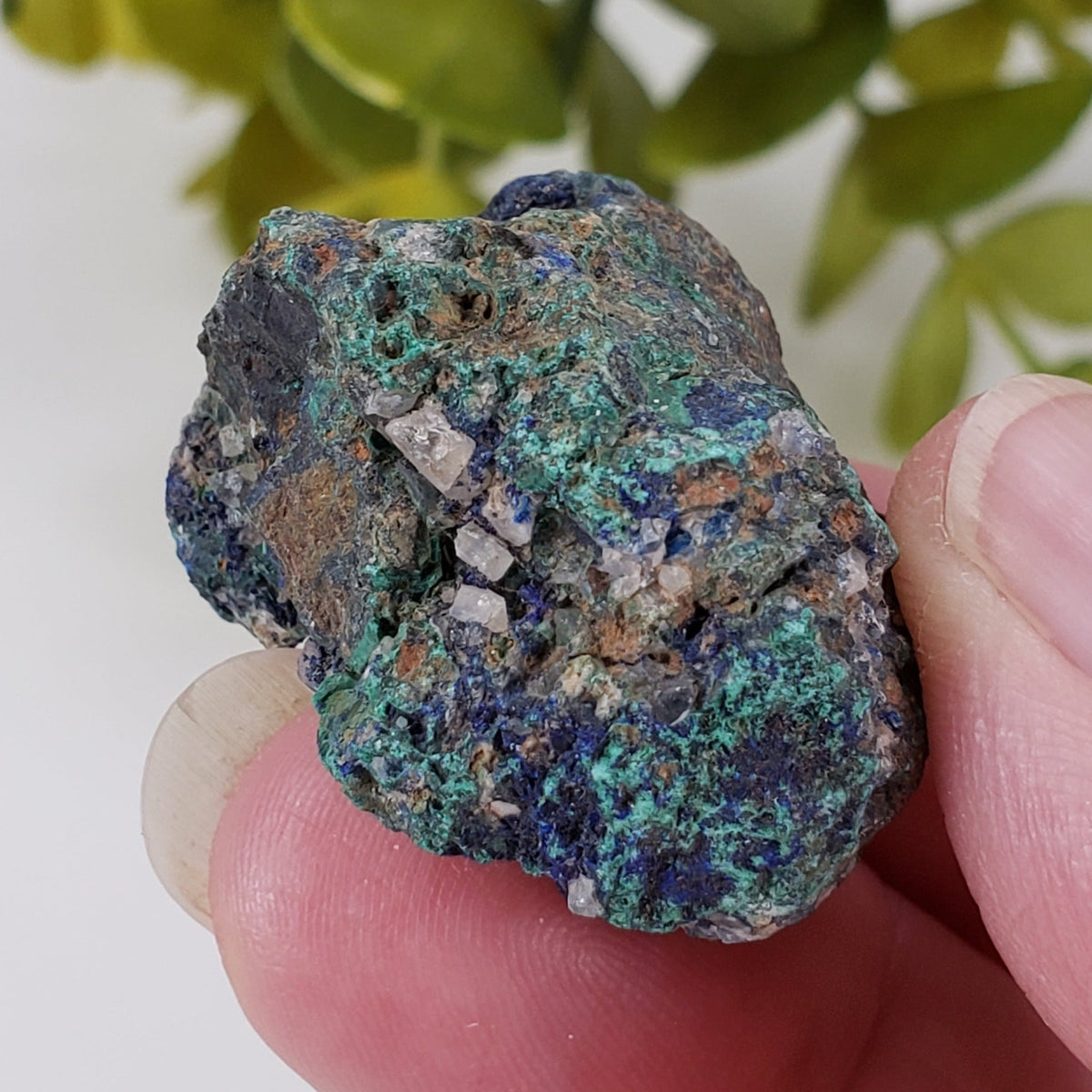  Azurite, Malachite and Quartz on Matrix | 28.7 grams | Zacatecas, Mexico | SO24 7