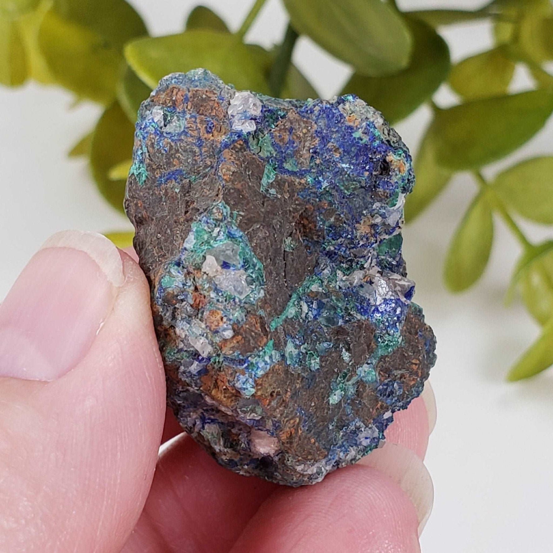  Azurite, Malachite and Quartz on Matrix | 28.7 grams | Zacatecas, Mexico | SO24 