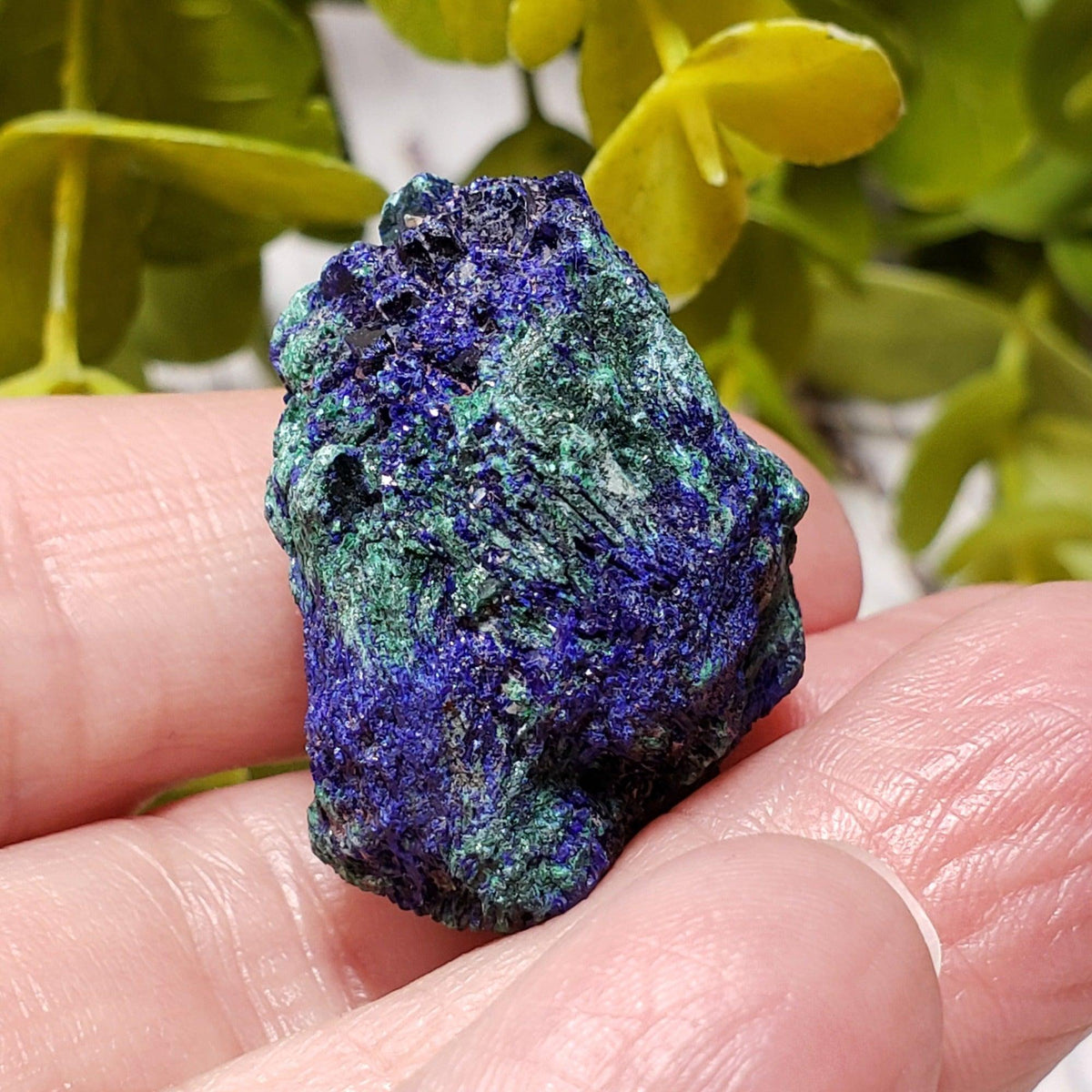 A - Azurite on Malachite Mineral Crystal, 25.1 grams Lavender Pit - Bisbee, Arizona 3