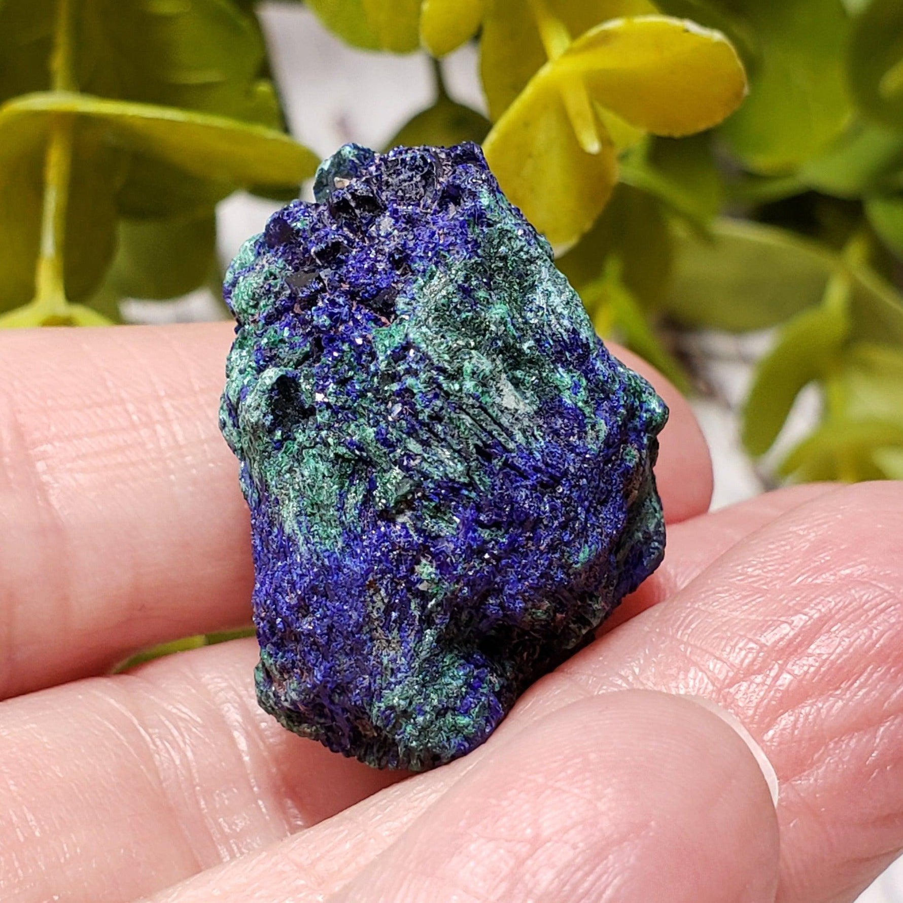 A - Azurite on Malachite Mineral Crystal, 25.1 grams Lavender Pit - Bisbee, Arizona 3