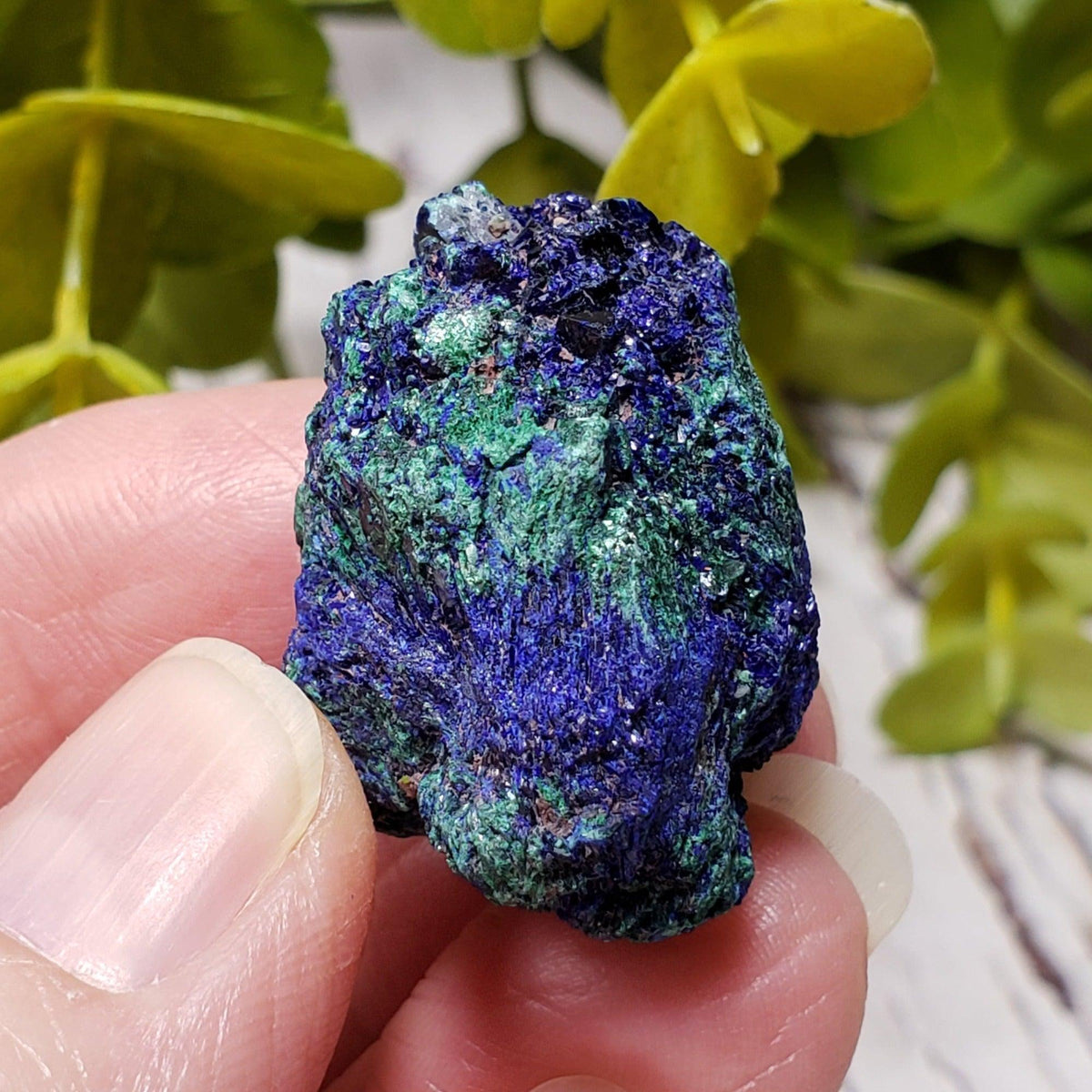 A - Azurite on Malachite Mineral Crystal, 25.1 grams Lavender Pit - Bisbee, Arizona 1