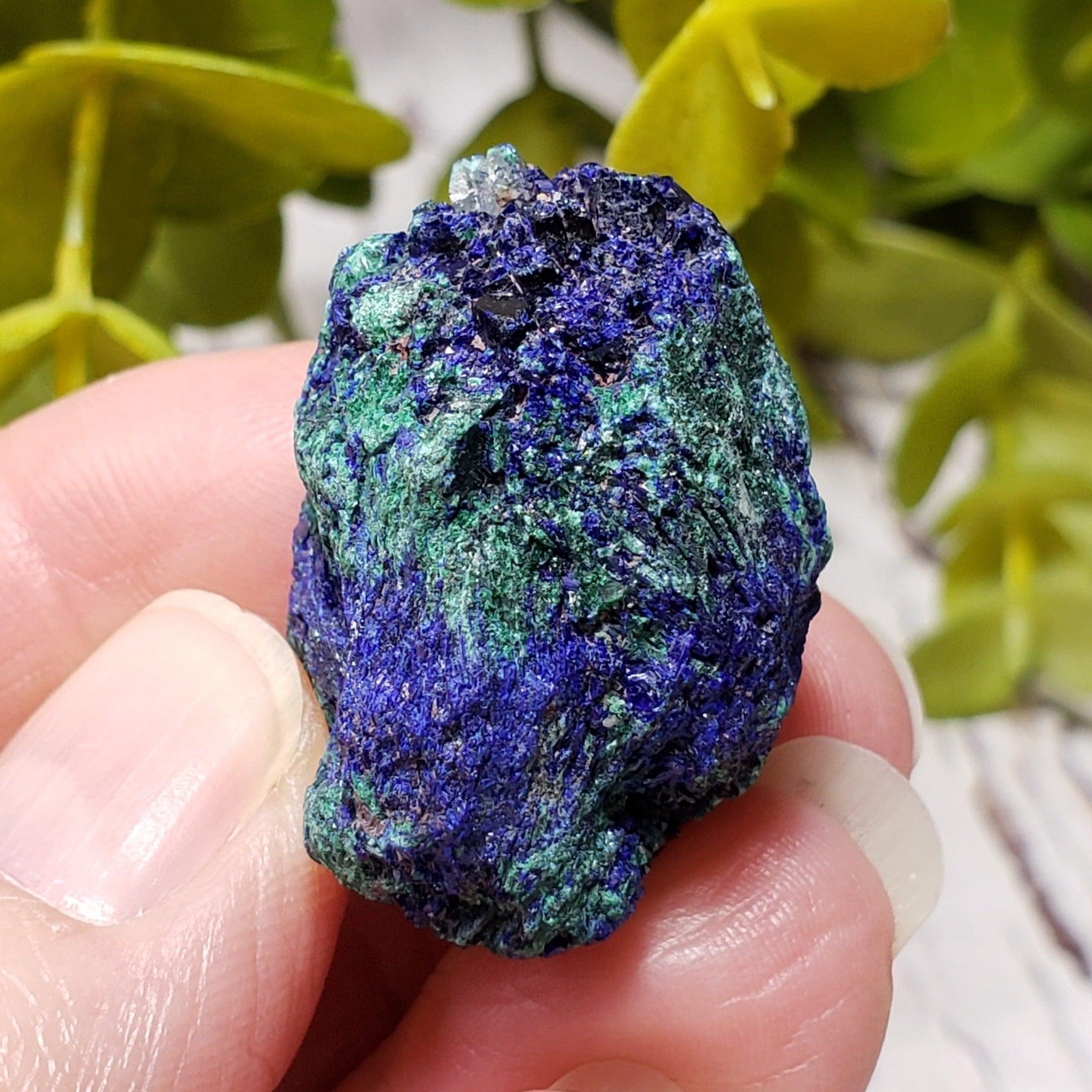 A - Azurite on Malachite Mineral Crystal, 25.1 grams Lavender Pit - Bisbee, Arizona 4
