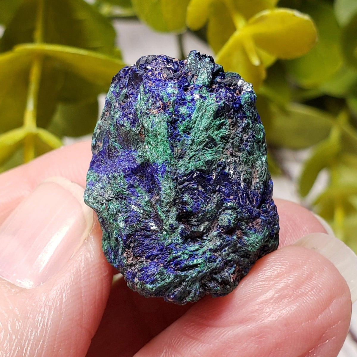 A - Azurite on Malachite Mineral Crystal, 25.1 grams Lavender Pit - Bisbee, Arizona 6