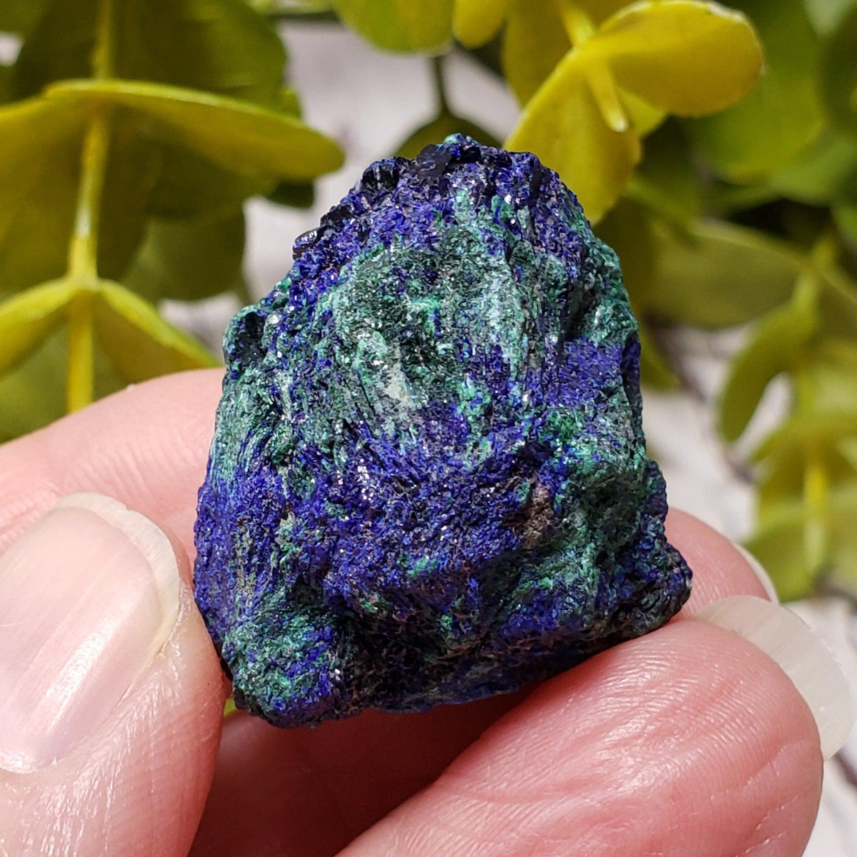 A - Azurite on Malachite Mineral Crystal, 25.1 grams Lavender Pit - Bisbee, Arizona 7