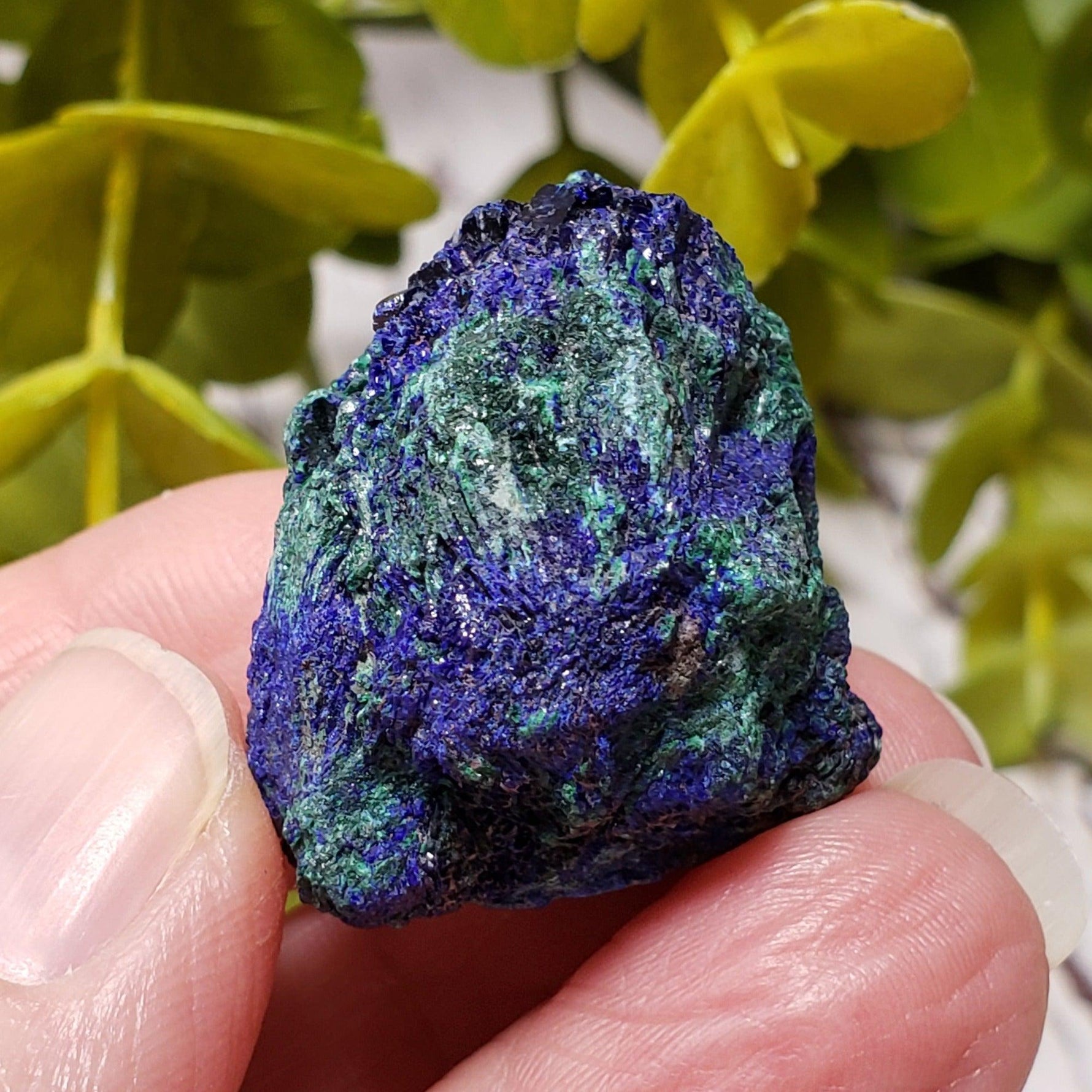 A - Azurite on Malachite Mineral Crystal, 25.1 grams Lavender Pit - Bisbee, Arizona 7