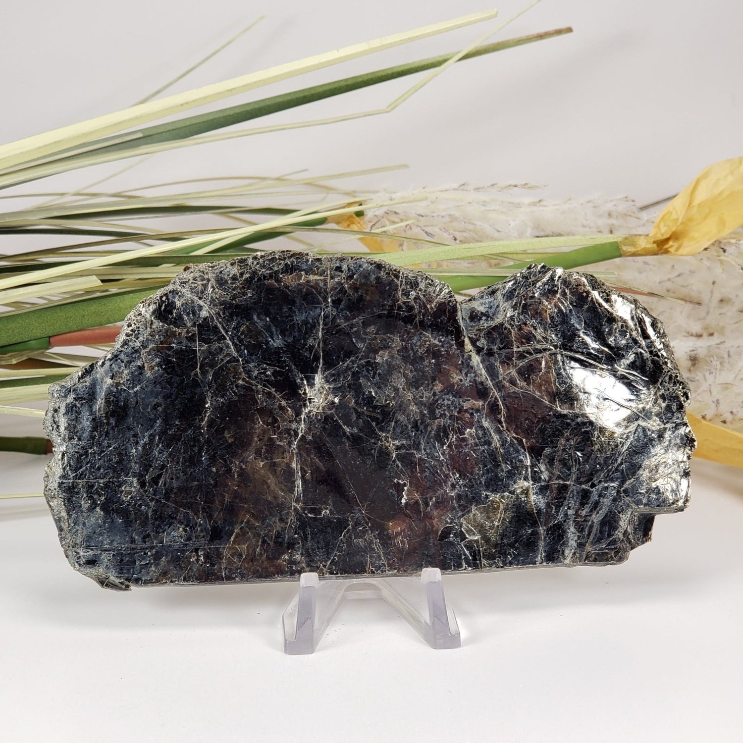  Biotite Mica Book | Black Crystal | 46.8 Grams | Ontario, Canada | SO24 