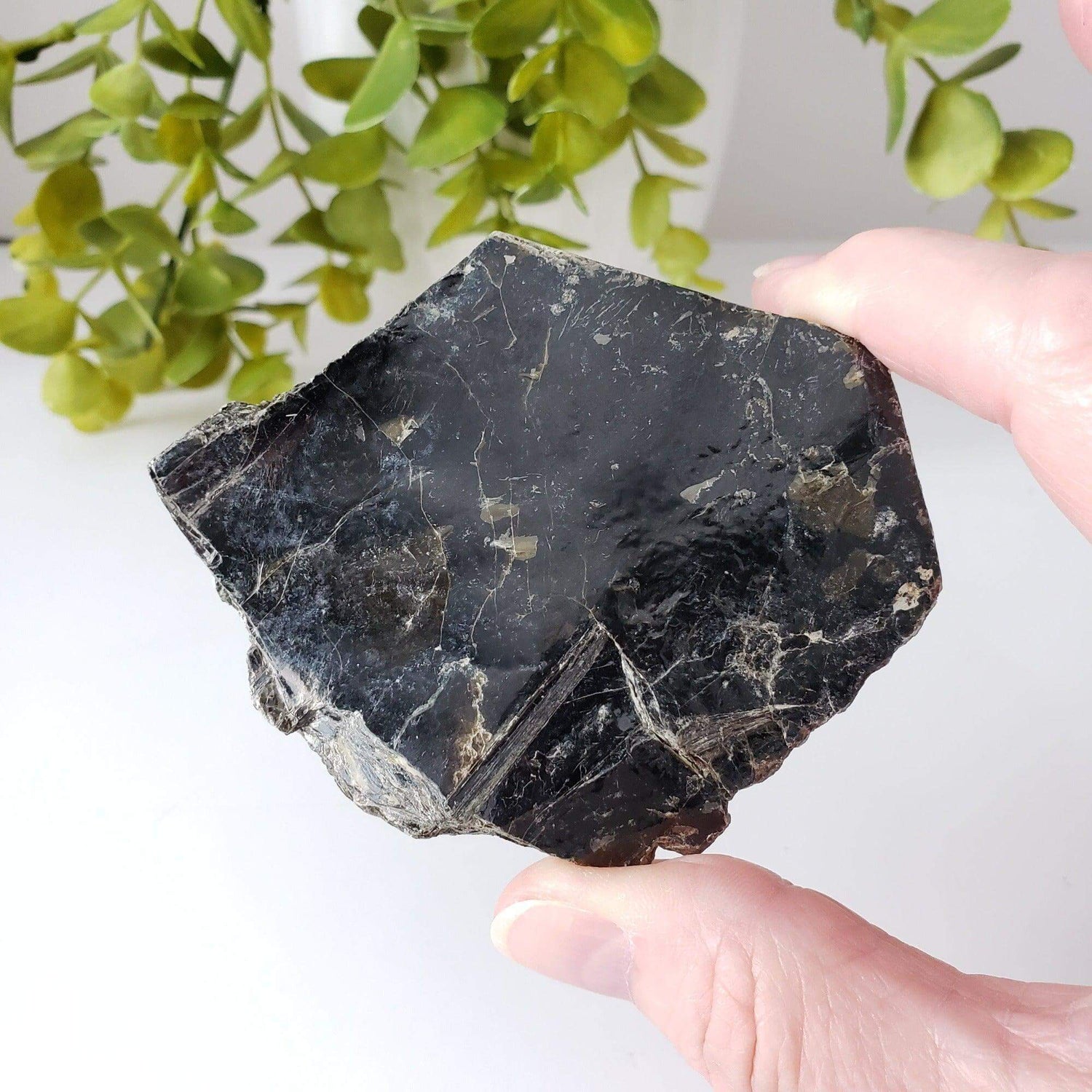  Biotite Mica Book | Black Crystal | 48.4 Grams | Ontario, Canada | SO24 