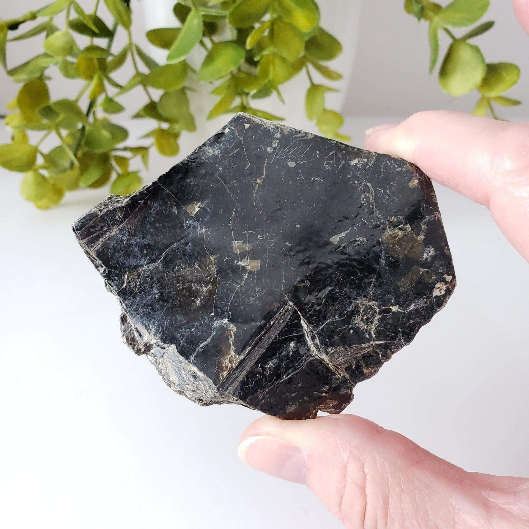  Biotite Mica Book | Black Crystal | 48.4 Grams | Ontario, Canada | SO24 