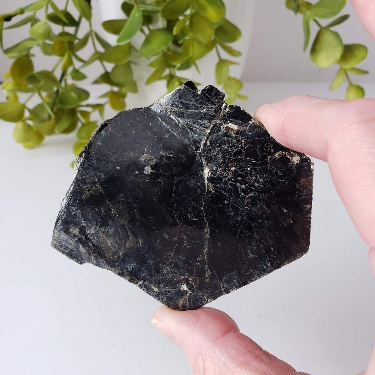  Biotite Mica Book | Black Crystal | 48.4 Grams | Ontario, Canada | SO24 1