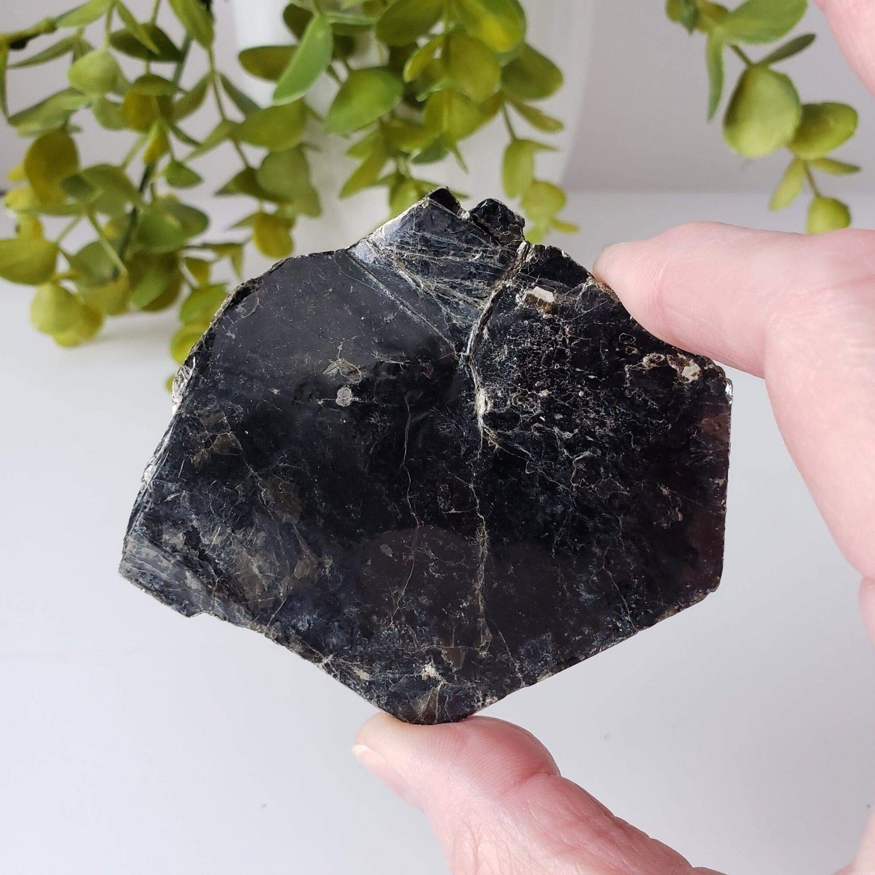  Biotite Mica Book | Black Crystal | 48.4 Grams | Ontario, Canada | SO24 1